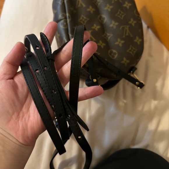 Louis vuitton palm spring mini - Picture 6 of 8